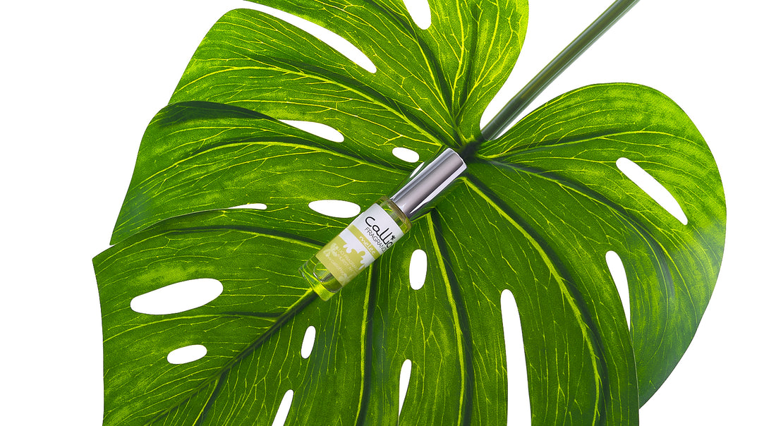 Melee Travel Perrfume on a large green tropical leaf with a white background.