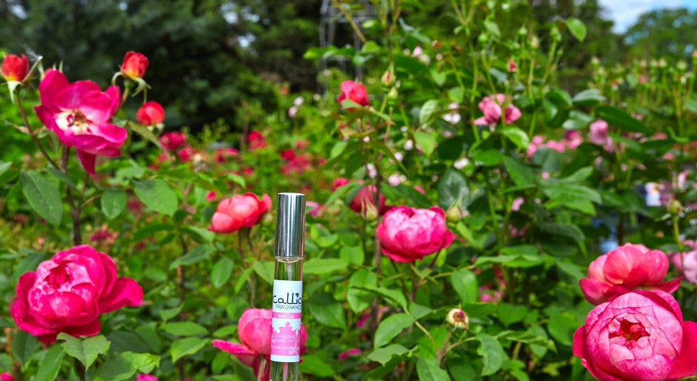 Belle Travel Perfume in front of peony bushes.
