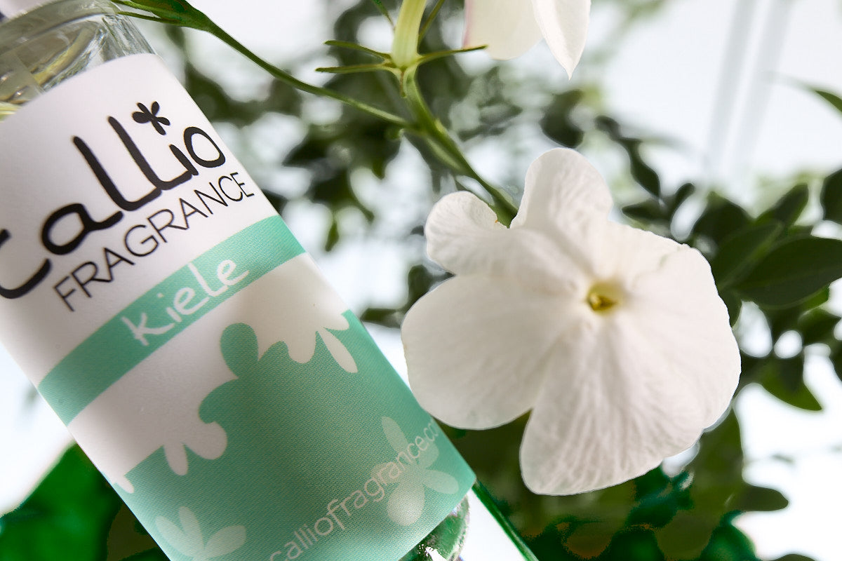 Closeup of Kiele Travel Perfume next to a common jasmine flower.
